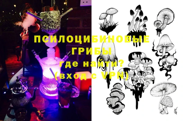 экстази Горняк