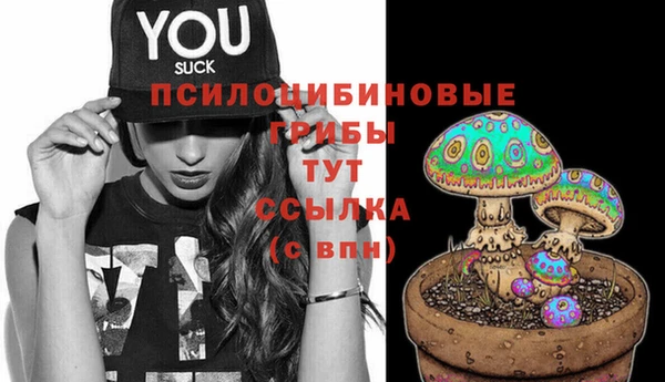 дурь Горно-Алтайск