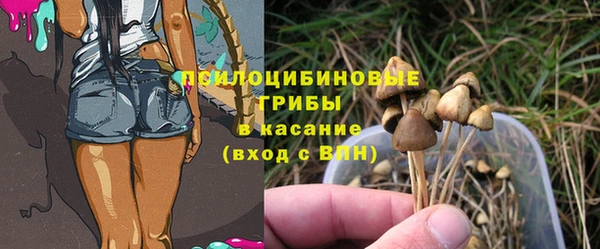 a pvp Кукмор